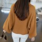 2018 New Winter Women Sweaters Fashion Turtleneck Batwing Sleeve Pullovers Loose Knitted Sweaters Female Jumper Tops