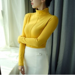 Sweater Female Soft Korean Style Skinny Winter Turtleneck Women Bodycon Basic Pullovers Long Sleeve Pull Femme Coat Female Top